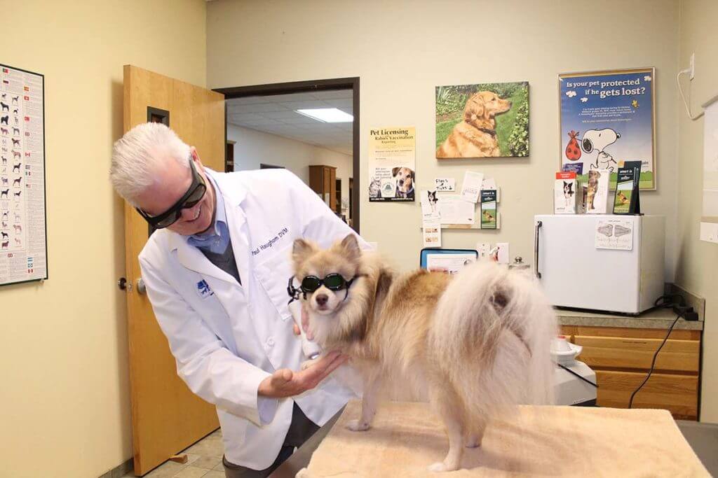 doctor and dog