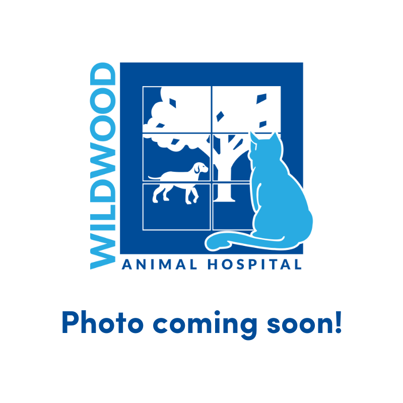 Wildwood Animal Hospital logo with caption underneath that reads - Photo coming soon