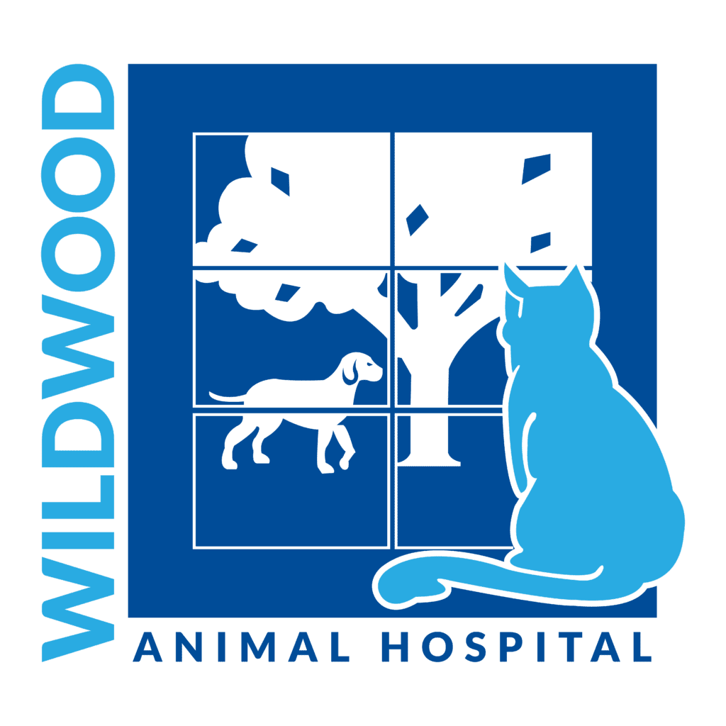 new-client-success-wildwood-animal-hospital