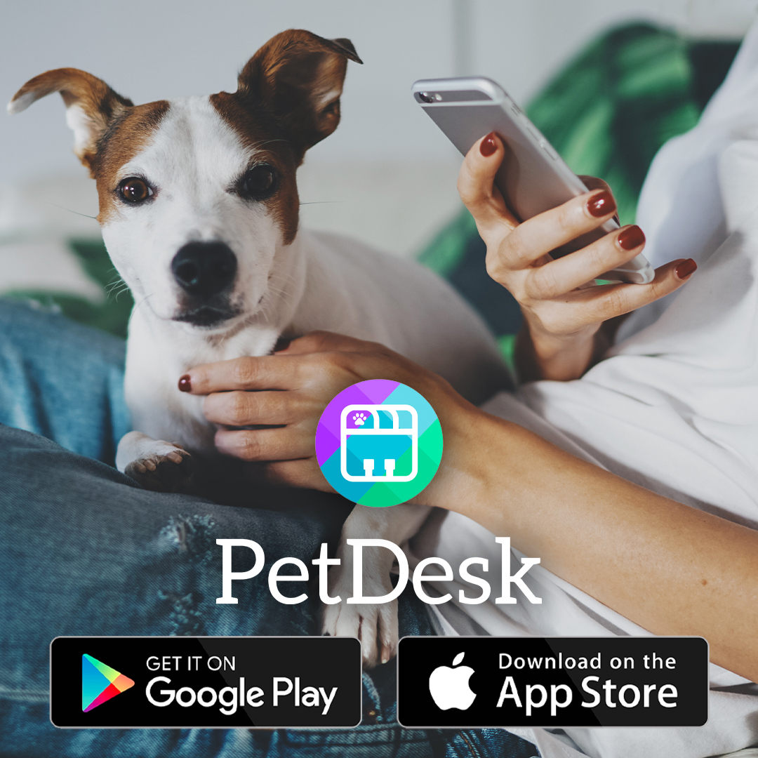 Photo of brown and white dog with PetDesk logo and download app graphics as overlay